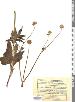 VOR 0021892