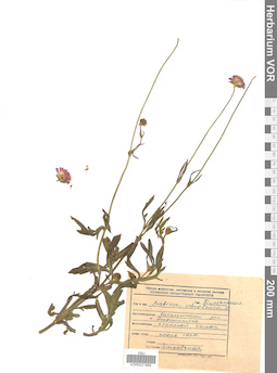 VOR 0021889