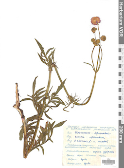 VOR 0021883