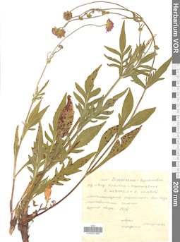 VOR 0021880