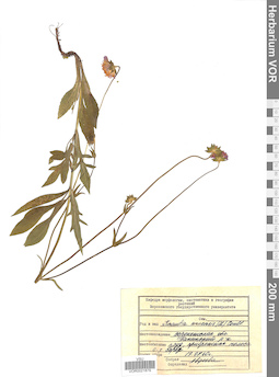 VOR 0021879