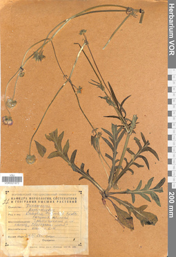 VOR 0021872