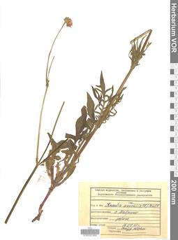 VOR 0021859