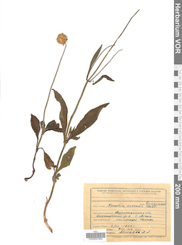 VOR 0021854