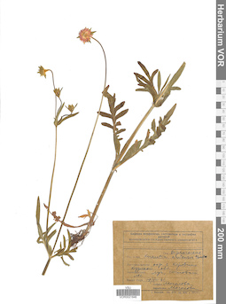 VOR 0021846