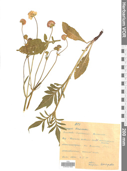 VOR 0021845