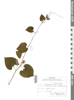 VOR 0022223
