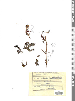 VOR 0022218