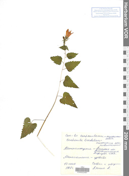 VOR 0022487