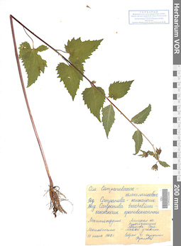 VOR 0022484