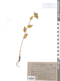 VOR 0022473