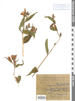 VOR 0022453