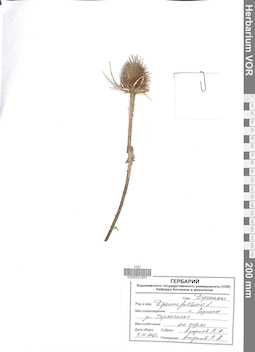 VOR 0021657