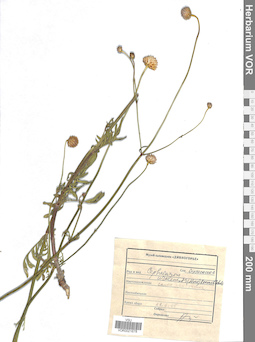VOR 0021678