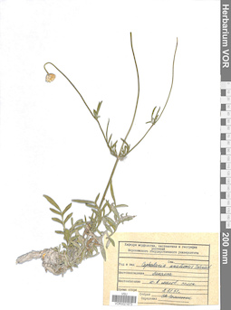 VOR 0021673