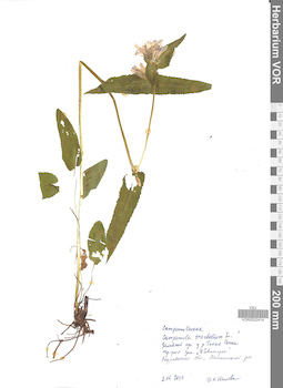 VOR 0022414
