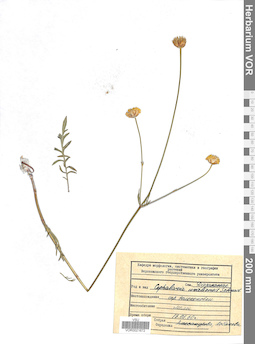 VOR 0021672