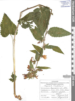 VOR 0022408