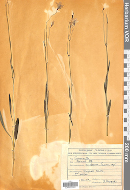 VOR 0022821