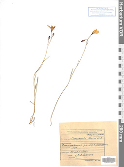 VOR 0022820