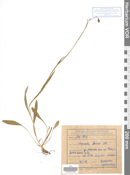 VOR 0022394