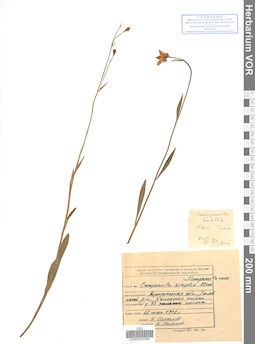 VOR 0022390