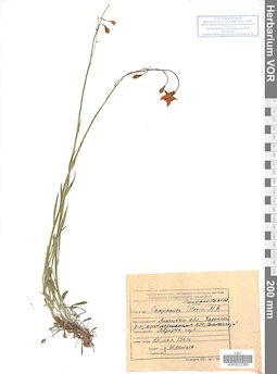 VOR 0022389
