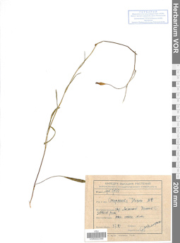 VOR 0022388