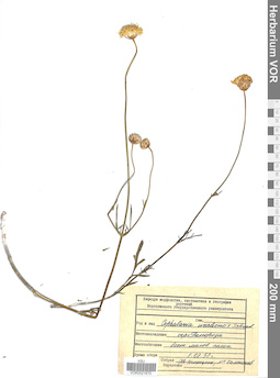 VOR 0021670
