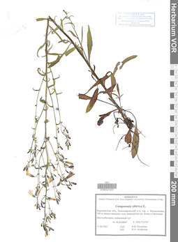 VOR 0041831