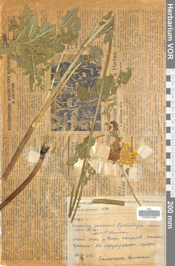 VOR 0021683