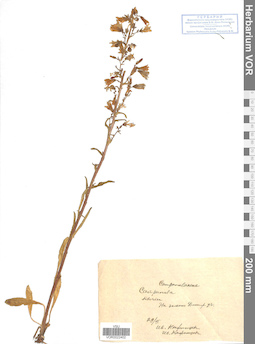 VOR 0022402