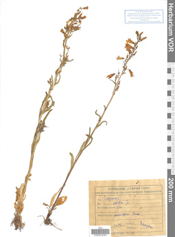 VOR 0022391