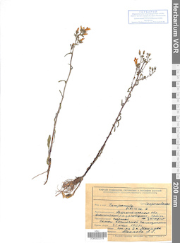 VOR 0022378