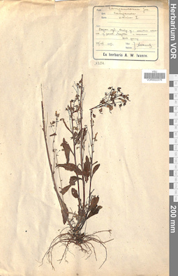 VOR 0022376
