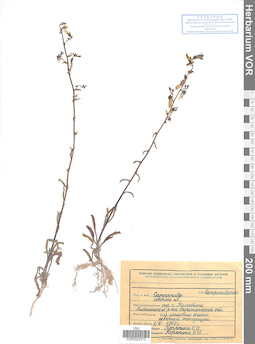 VOR 0022373