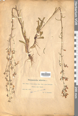 VOR 0022372
