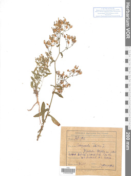 VOR 0022368