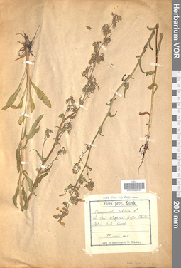 VOR 0022367