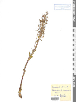 VOR 0022366