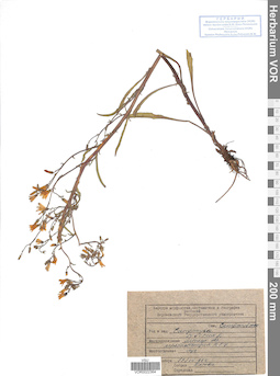 VOR 0022364