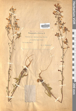 VOR 0022363