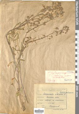 VOR 0022286