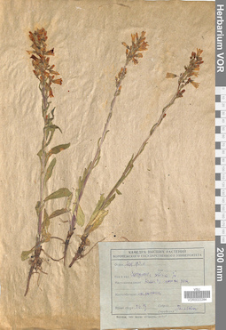VOR 0022284