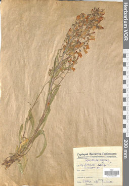 VOR 0022283
