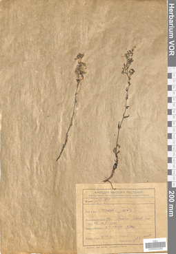 VOR 0022282