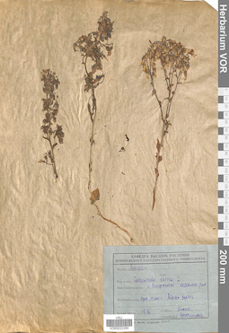 VOR 0022280