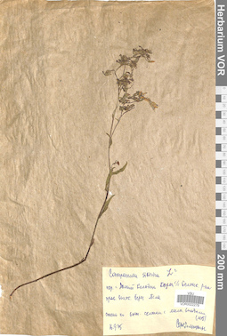 VOR 0022279