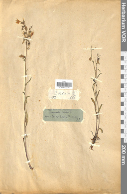 VOR 0022276