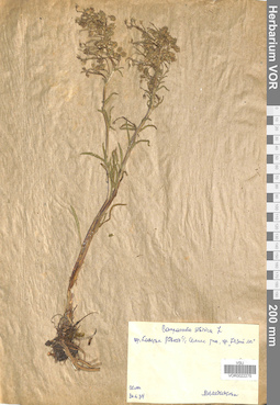 VOR 0022275